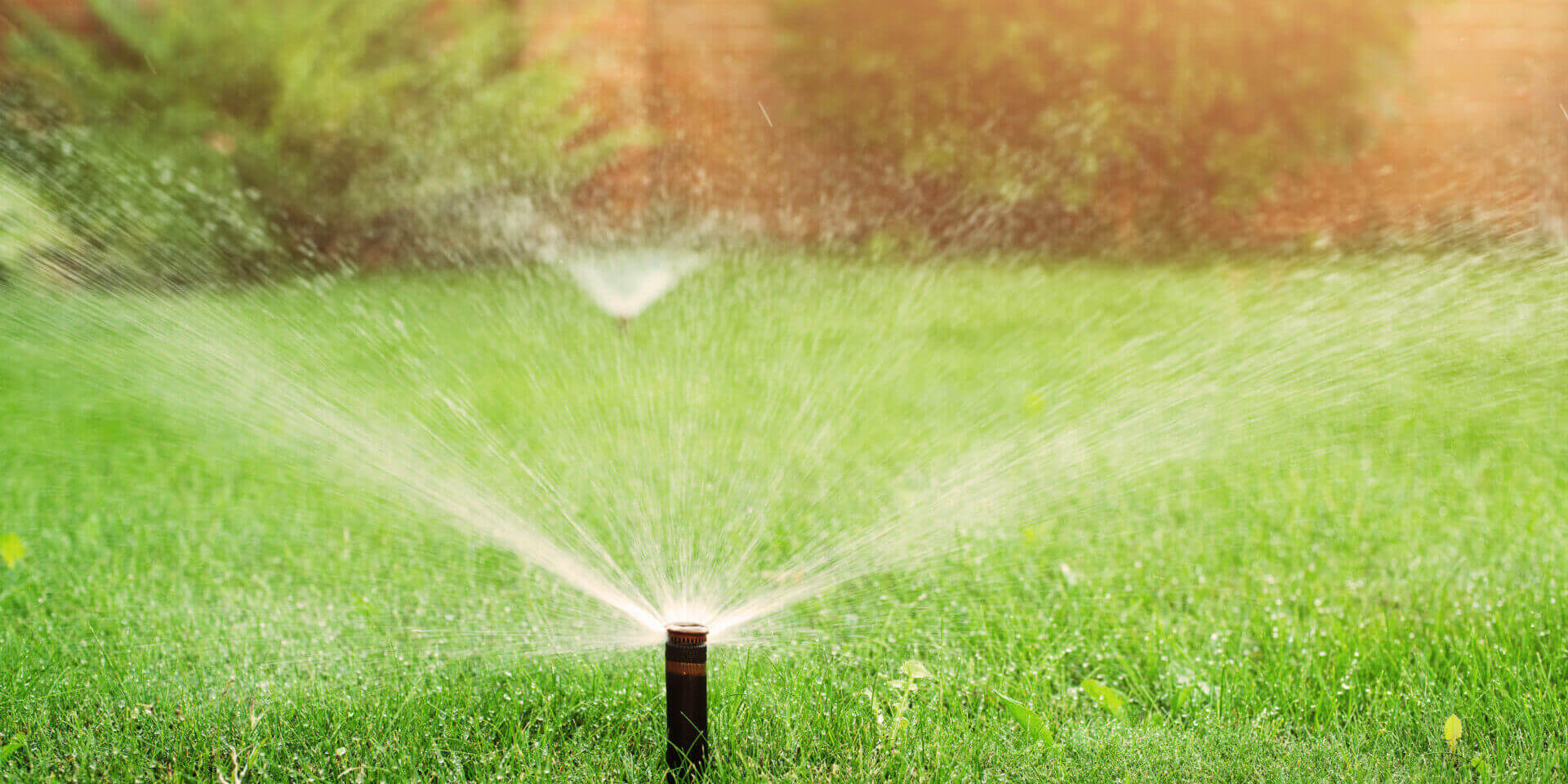 Green Grass Being Watered With Automatic Sprinkler System Sunny Day