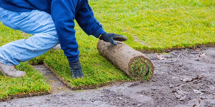 Turf Install